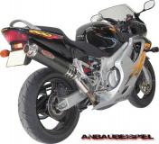 Runde Carbon-Auspuffanlage fr Honda CBR 600, Baujahr: 1999-2000