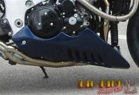BIG BIKE Fighter Bugspoiler 'BM117' fr Suzuki GSXR 1300 Hayabusa