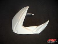 PS-Design Fighter Hinterrad-Abdeckung 'RA01' fr Honda CBR 900 SC44
