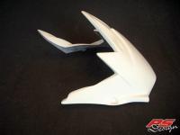 PS-Design Fighter Hinterrad-Abdeckung 'RA02' fr Honda CBR 900 SC44