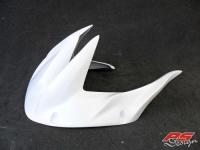 PS-Design Fighter Hinterrad-Abdeckung 'RA05' fr Honda CBR 900 SC44